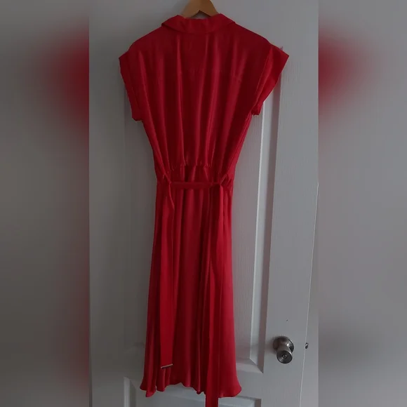 Raspberry -Red Dress - Picture 2 of 7